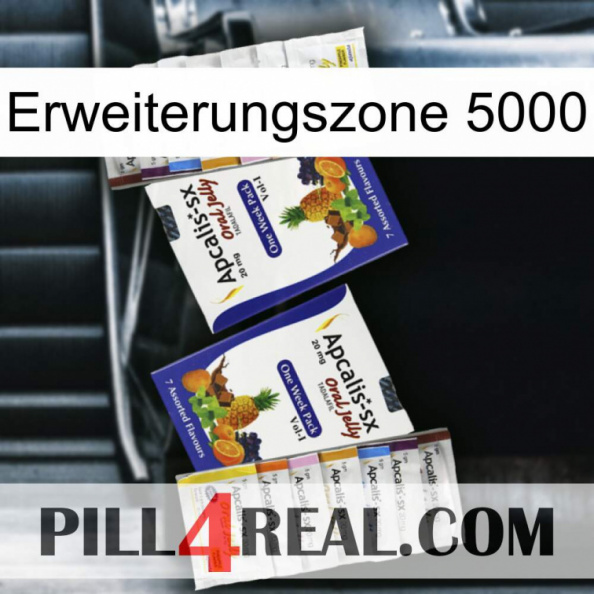 Exten Zone 5000 12.jpg